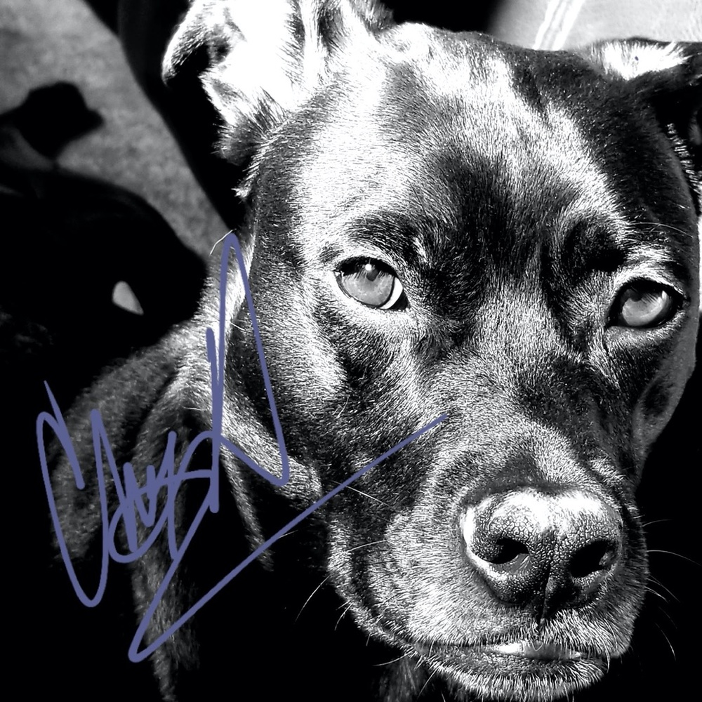 I finally said YES! Never too old to start new 🤗 xoxo - Picture 5 of 10